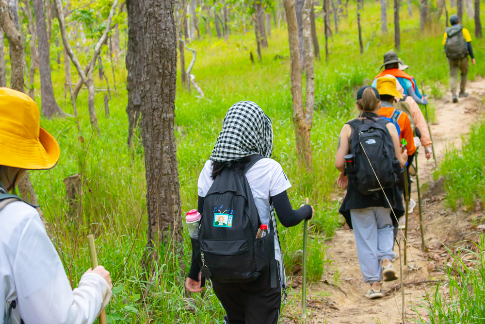 Hikers tham gia đi bộ đường dài trong thời gian ngắn với địa hình tương đối bằng phẳng, ít thử thách.