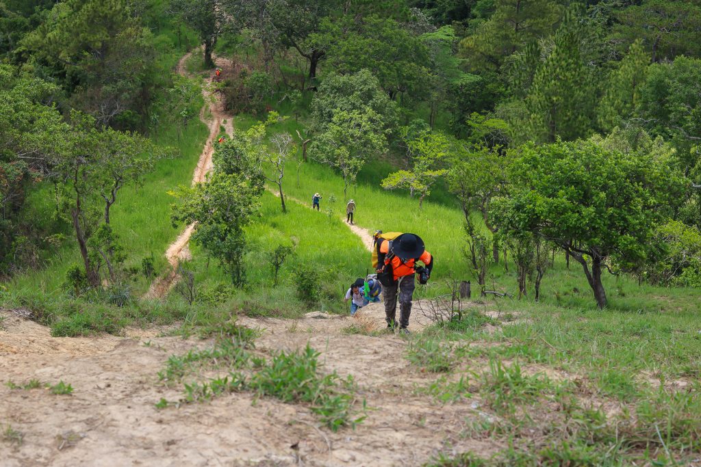 Trekking và hiking được hiểu chung là loại hình du lịch dã ngoại ngoài trời với hoạt động đi bộ đường dài, vượt địa hình.