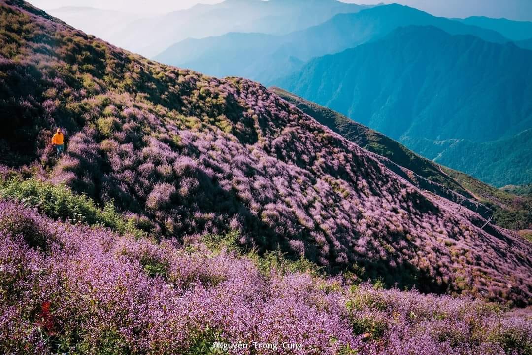 Cảnh Tà Chì Nhù 