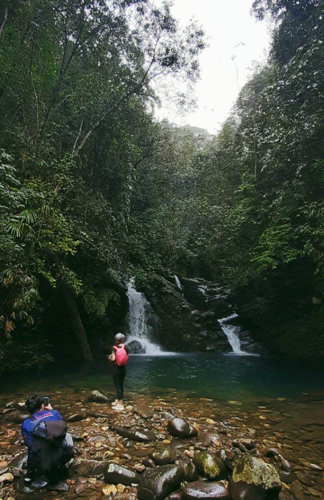 Hai người bạn đồng hành của Rùa, một người Huế, một người Sài Gòn.