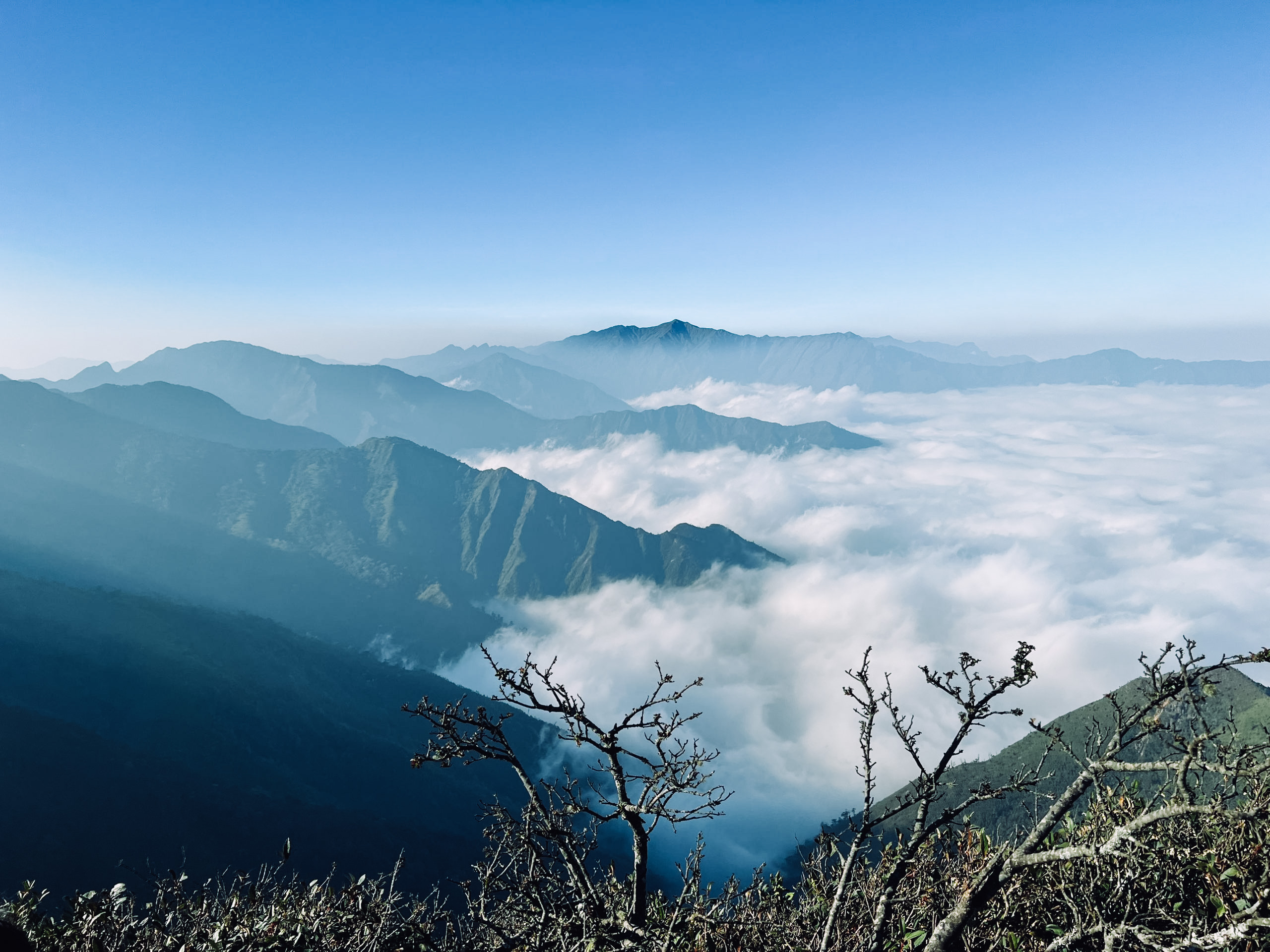 chữa lành thiên nhiên