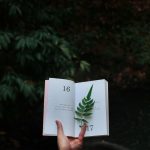 BOOKjpg
