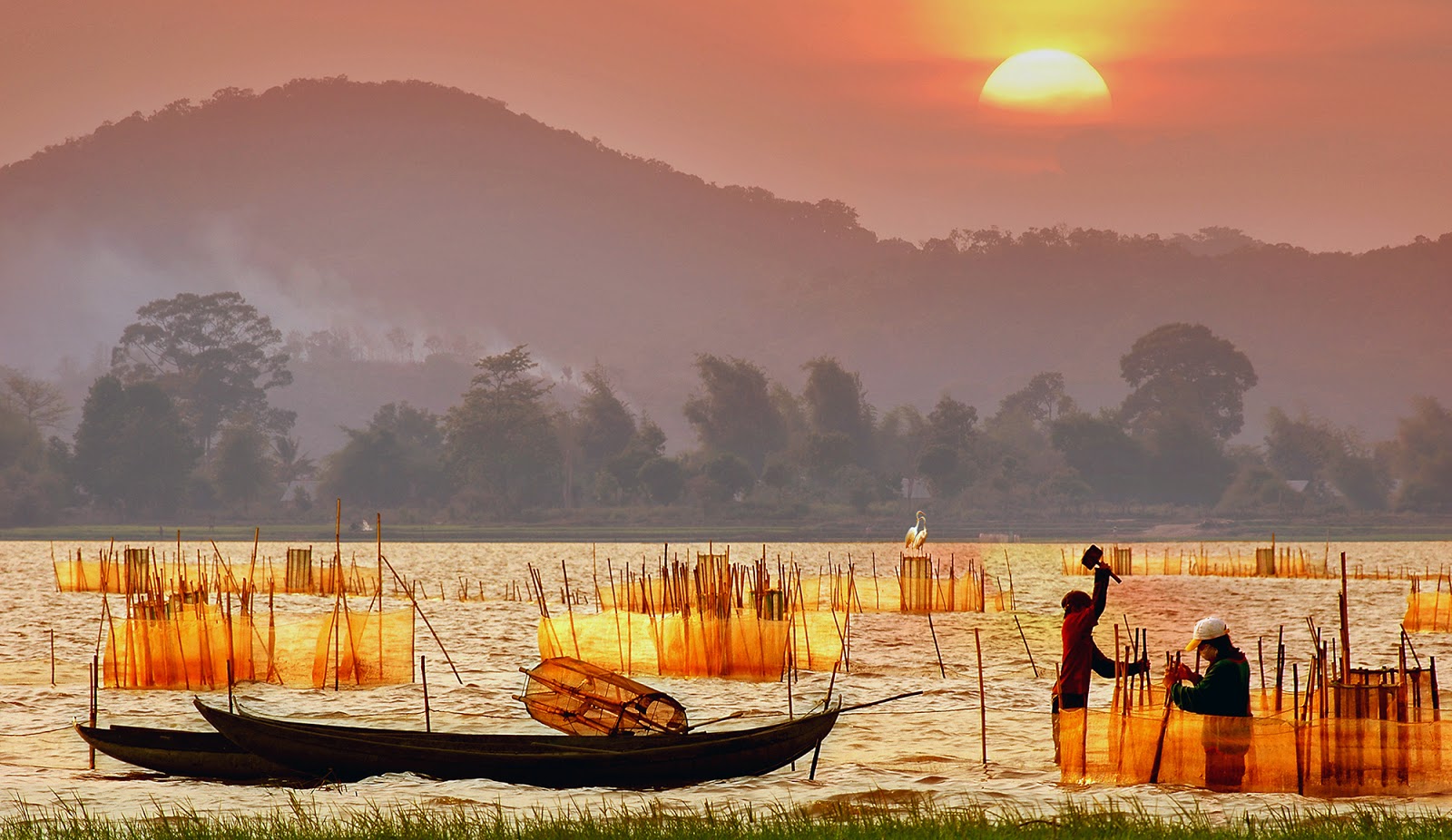 Núi rừng Tây Nguyên không chỉ là cảnh quan, mà còn là nguồn cung lương thực, sinh kế cho người dân.