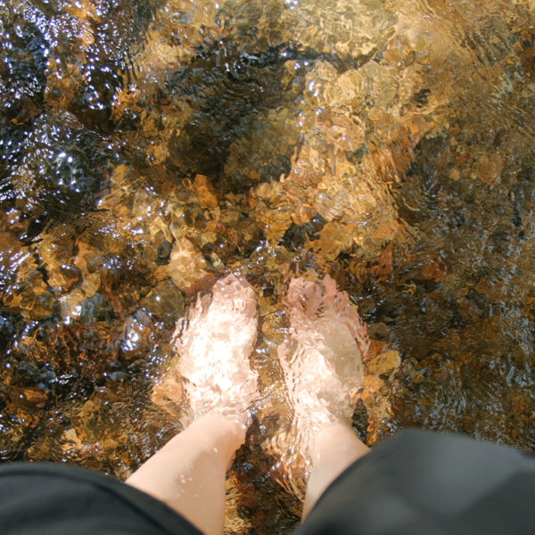 120 chu yang lak dak lak rua discovery tay nguyen trekking