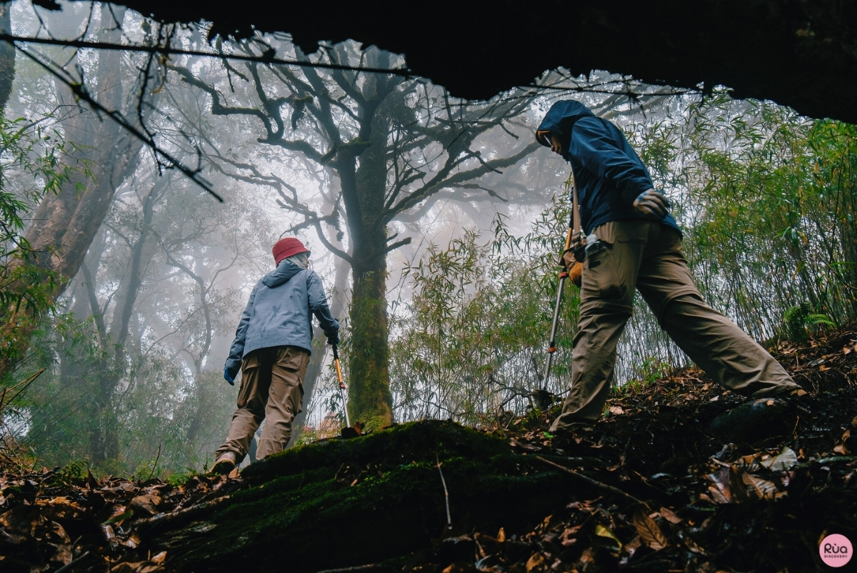 Trekking mùa mưa - áo mưa nhẹ loại tái sử dụng (vừa bền vừa bảo vệ môi trường) hoặc/và áo trượt nước sẽ vô cùng hữu ích. Gậy trekking cũng hỗ trợ giữ thăng bằng rất tốt. Đầu hành trình Rùa sẽ phát gậy trekking cho từng thành viên trong đoàn.