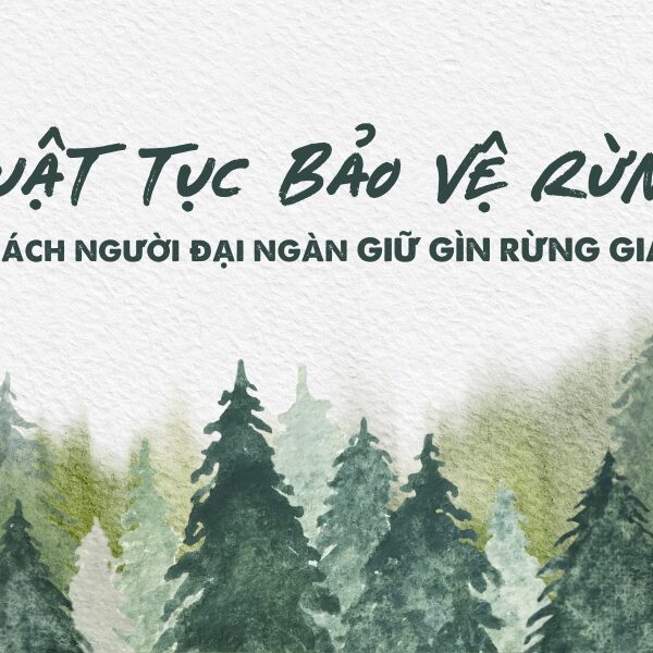 luat tuc bao ve rung rua knah rua ke chuyen