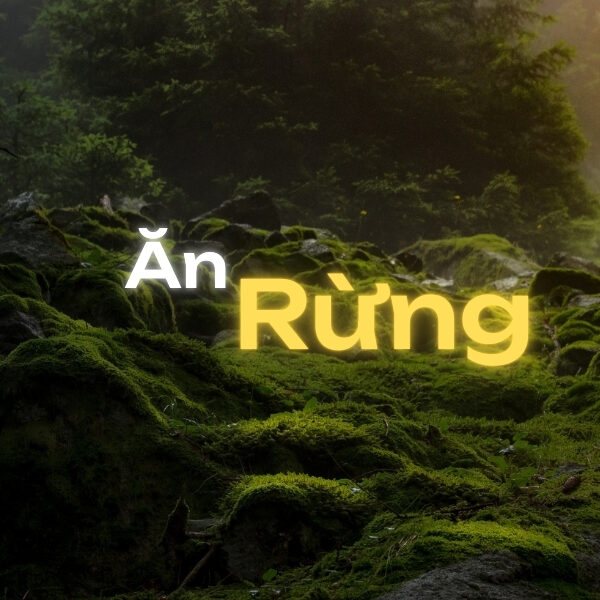 tuc an rung cua dong bao tay nguyen