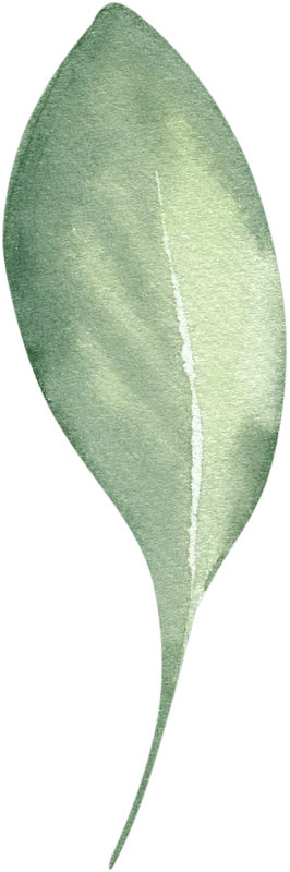 s 1