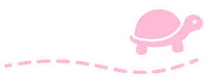 little turtle 1